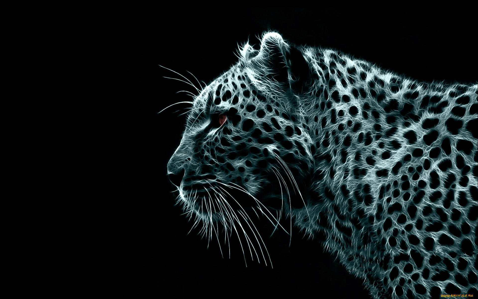 3, , animals, 